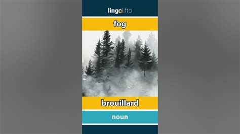 débrouillard en anglais|debrouillard in english.